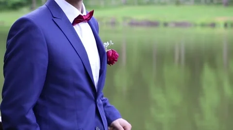 Wedding couple Stock Footage 54437688