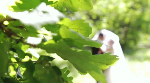 Wedding couple in forest next to big old tree.  Groom and bride together. Stock Footage 54273334