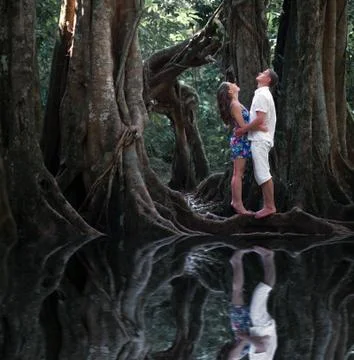 Wedding couple in forest Stock Photos