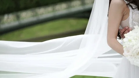 Wedding couple hugging in a park Stock Footage 79611013