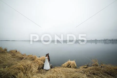 Wedding couple at the lake shore Stock Photos