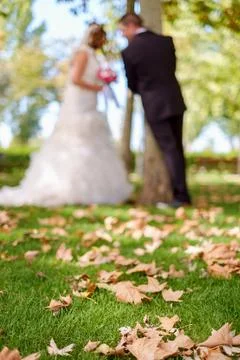 Wedding couple Stock Photos
