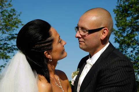 Wedding couple Stock Photos