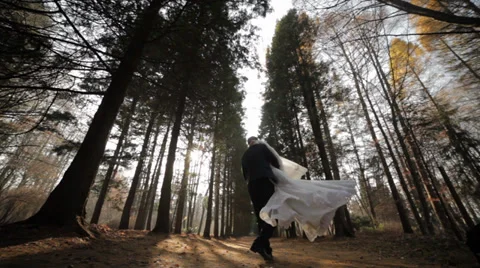 Wedding couple in a pine forest. Beautiful pine alley Stock Footage 33139646