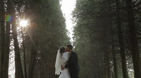Wedding couple in a pine forest. Beautiful pine alley Stock Footage 33156524