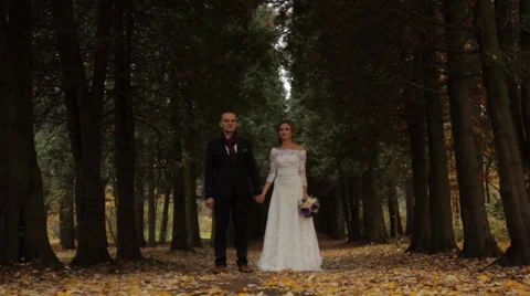 Wedding couple in a pine forest. Beautiful pine alley Stock Footage 33177253