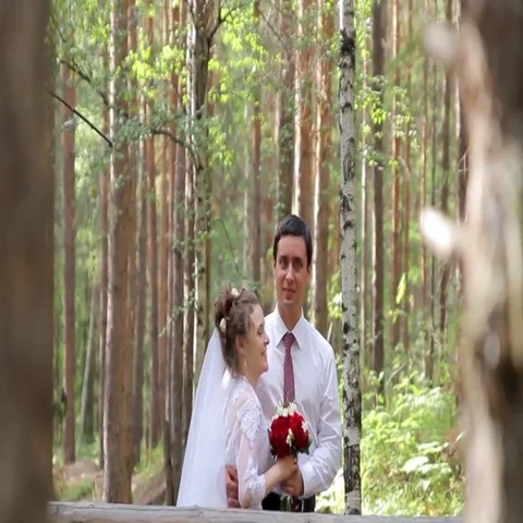 Wedding couple in a pine forest. Vidéo 69388945