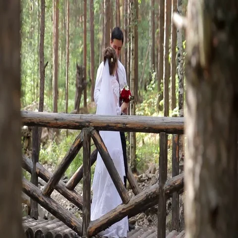 Wedding couple in a pine forest. Vidéo 69401280