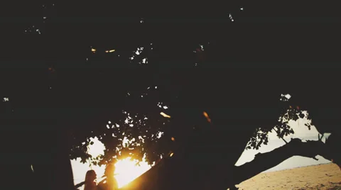 Wedding couple posing in the sunlight Stock Footage 38297446