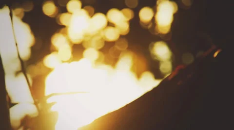 Wedding couple posing in the sunlight Stock Footage 38297528