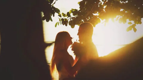 Wedding couple posing in the sunlight Stock Footage 38297611