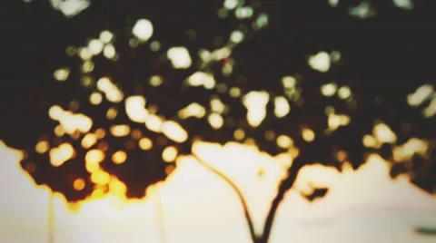 Wedding couple posing in the sunlight Stock Footage 38297927