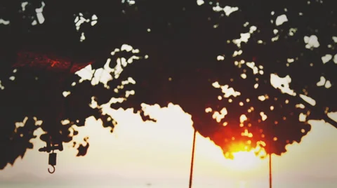 Wedding couple posing in the sunlight Stock Footage 38298543