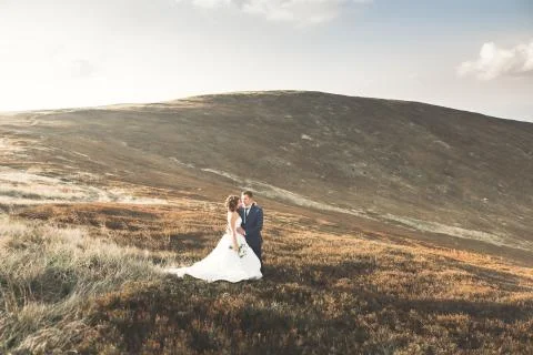 Wedding couple posing on sunset at wedding day. Bride and groom in love Stock Photos