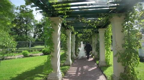 Wedding Couple is Running Stock Footage 49862892