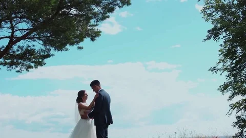 Wedding couple in slow motion Stock Footage 81987102