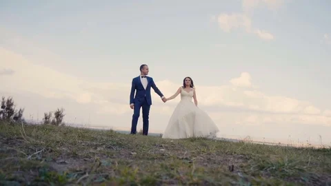 Wedding Couple Walk Stock Footage 71065855