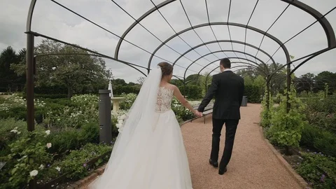 Wedding couple walking down the park and holding their hands. Back view Stock Footage 103951212
