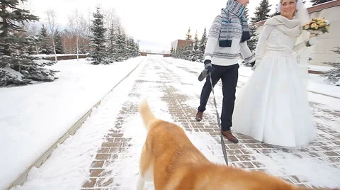 Wedding couple winter walking Stock Footage 58862387