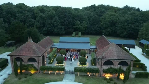 Wedding Crowd Drone Zoom-Out Shot Stock Footage 303282826