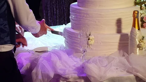 In the wedding cut the cake Stock Footage 108731848
