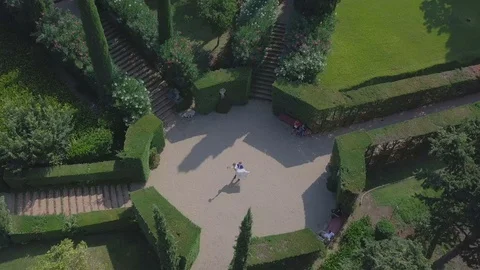 A wedding dance. Stock Footage 129604171