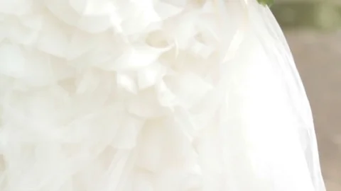 Wedding day. Bride in white chic dress. Back view Stock Footage 81100853