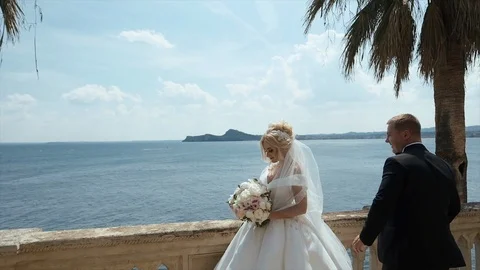 Wedding Day. Brides. Stock Footage 104872689