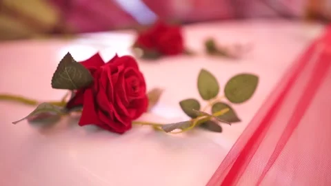 Wedding day car decorated Stock Footage 169818985