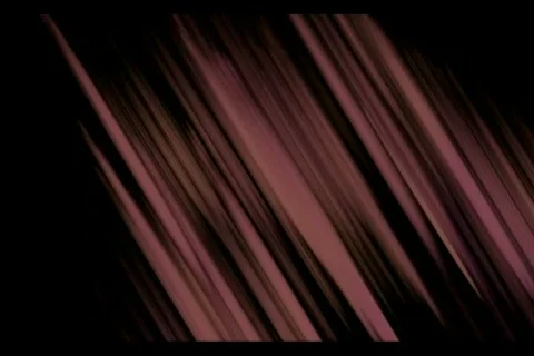 Wedding Day Stock Footage 219504