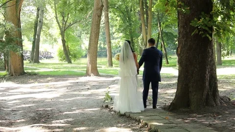 Wedding Day Stock Footage 84279900