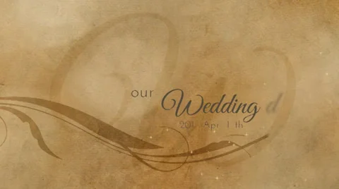 Wedding Day Story Stock After Effects