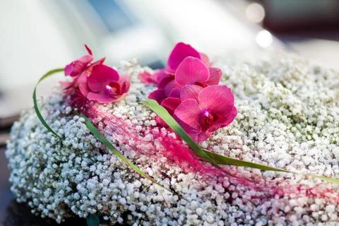 Wedding decor flowers bride Stock Photos