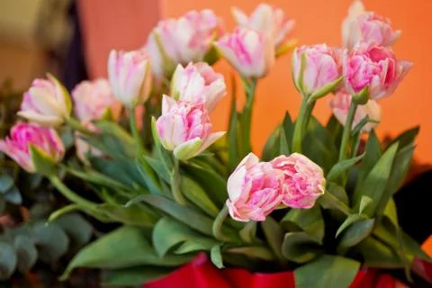 Wedding decor flowers bride Stock-Fotos