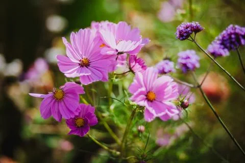 Wedding decor flowers bride Stock Photos