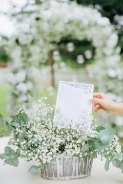 Wedding decor flowers postcard empty space invitation Stock-Fotos