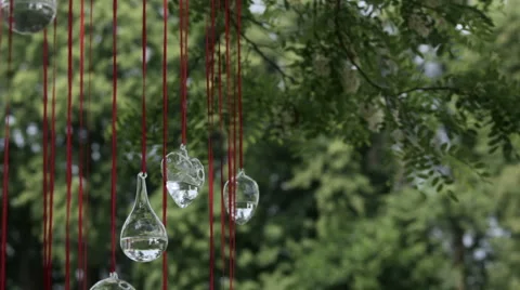 Wedding decor in nature Stock Footage 61926363