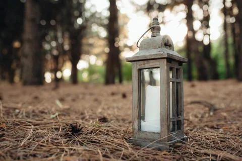 Wedding decor Stock Photos