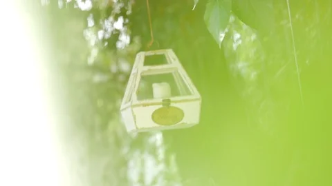 Wedding decoration Stock Footage 89890086