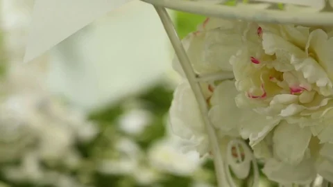 Wedding decoration on the grass Stock Footage 71988595