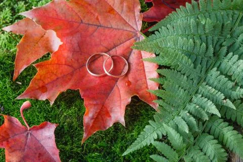 Wedding decoration Foto stock