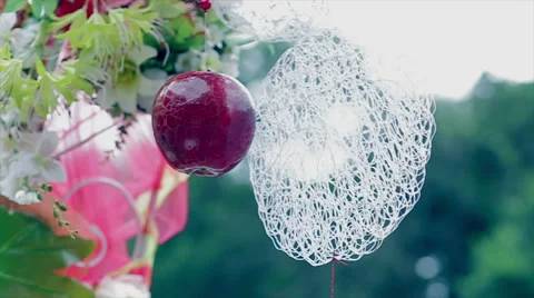 Wedding decoration, red apple, white laces Stock Footage 47068860