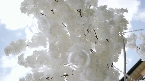 Wedding decorations on a backyard like snow trees on sky background Stock Footage 125756462