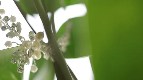 Wedding decorations for the bride Bijouterie, ribbons, satin decorations and Stock Footage 95042369