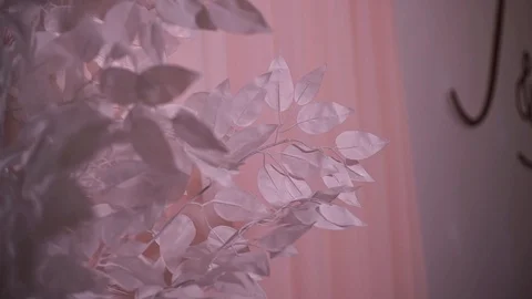 Wedding decorations at the ceremony Video stock 114022559