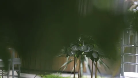 Wedding decorations decorated in the yard 11 Stock-Footage 315417814