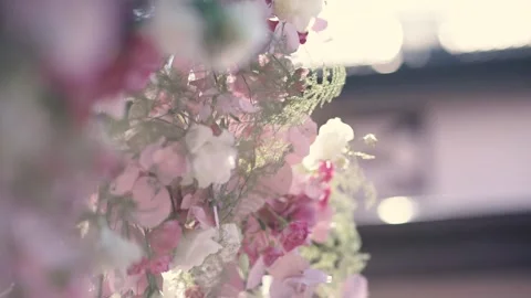 Wedding Decorations Flowers Stock Footage 309320084