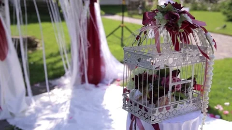 Wedding decorations Stock Footage 53501570