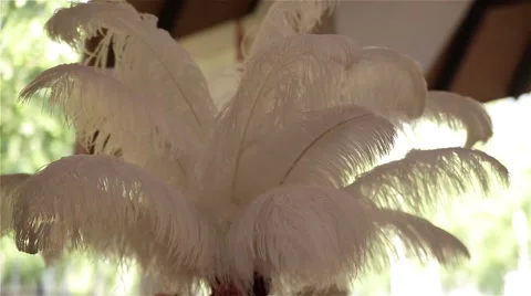 Wedding decorations Stock Footage 54437610