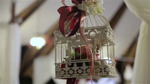 Wedding decorations Stock Footage 54437632